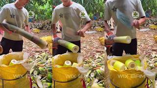 Traditional Bamboo Shoot Cutting Skills  Harvesting Process Ep359