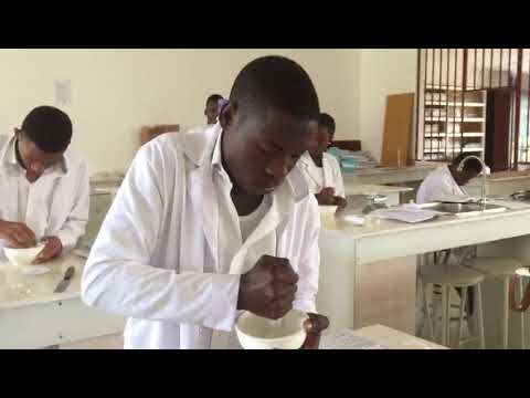 Compounding at Kigamboni City College