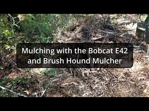 Bobcat E42 Brush hound FX26 Mulching old material
