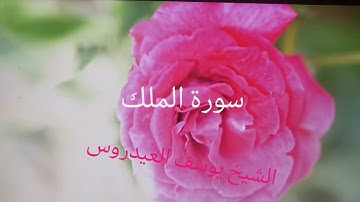 سورة الملك الشيخ يوسف العيدروس