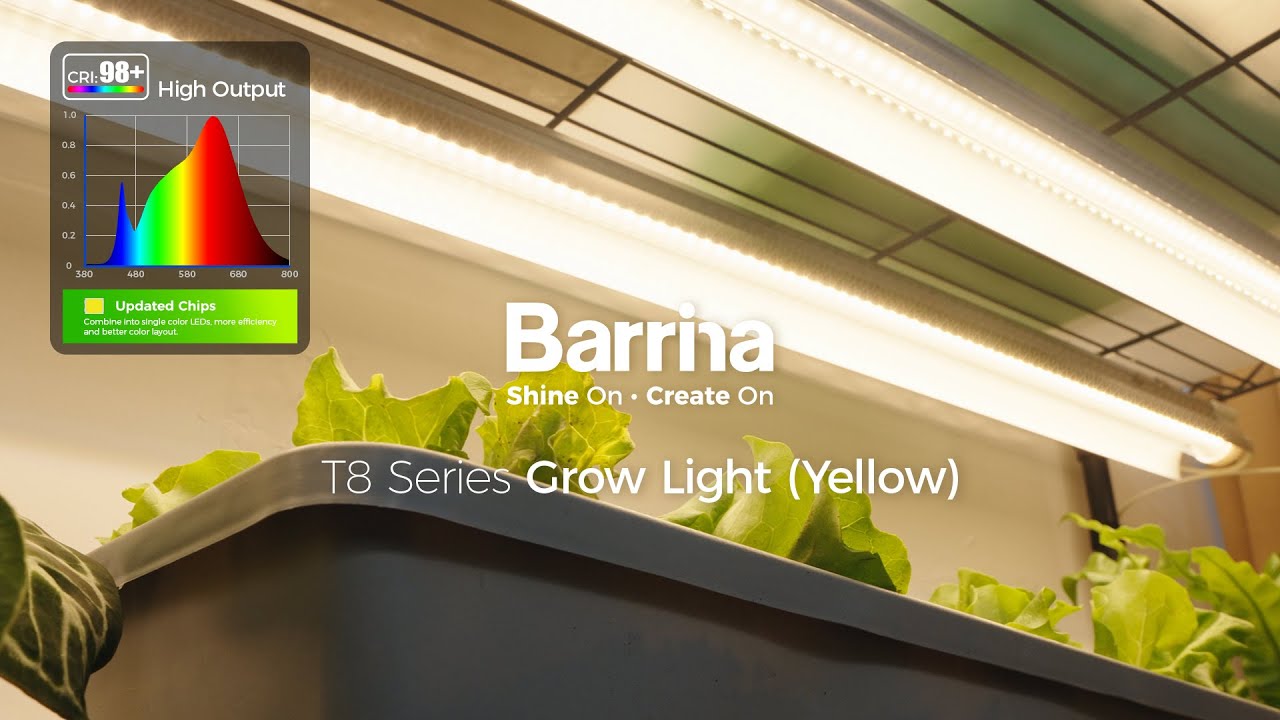 T8 Series Grow Lights Installation and Usage #barrina #barrinagrowlight #t8lightning