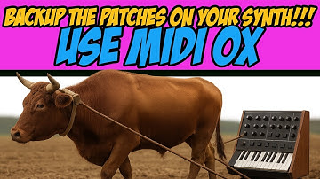 Maak vandaag nog een back-up van uw synthesizer - laat Midi Ox voor u werken