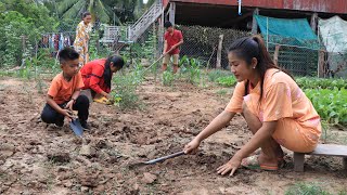 My family enjoy together, prepare vegetable garden and collect vegetable for cooking
