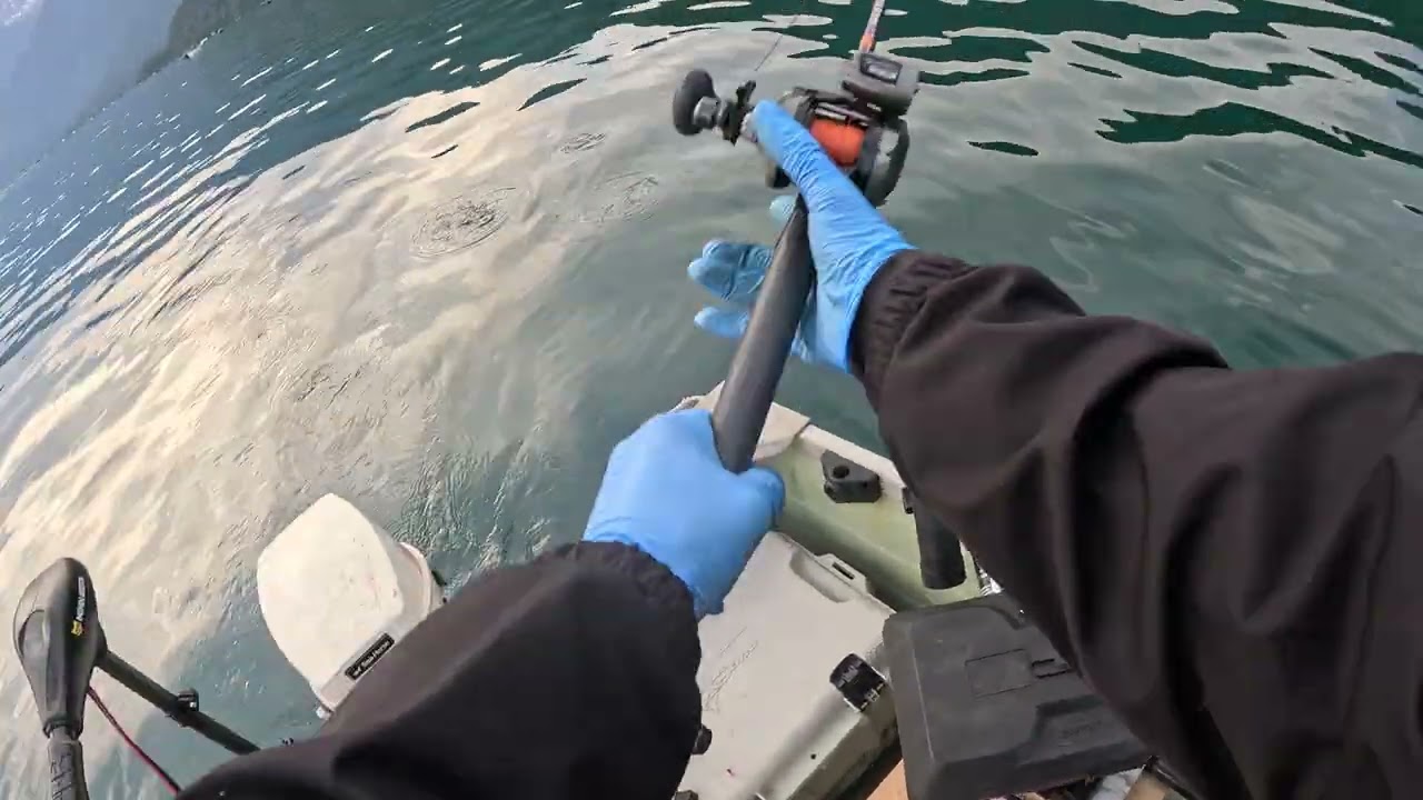 Camping trip: Return for Sockeye (@jktacklellc saves the day Ft. SuperFishal Chub)