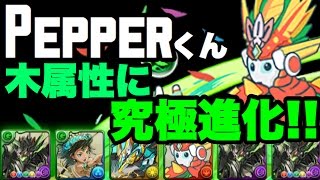 pepper究極進化！ラグドラの火枠になれるか！？【パズドラ】