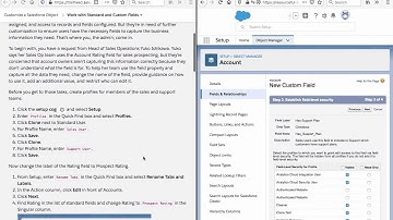 Work with Standard and Custom Fields in Salesforce