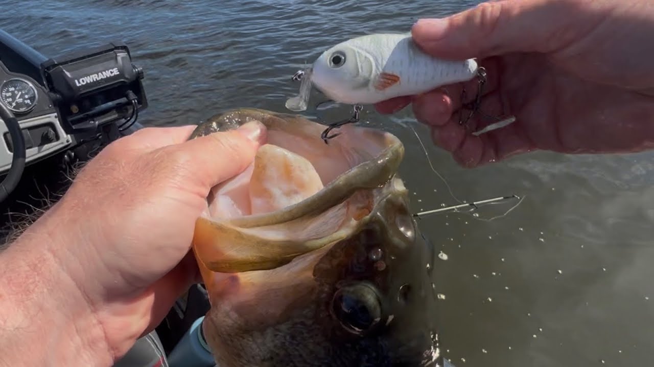 How to catch fish on a hybrid hunter