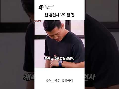 센 훈련사 VS 센 견 #강형욱 thumbnail