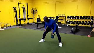 KB Sumo Single Arm Row