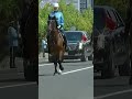 Trump Arrives at Turkey Presidential Palace for NATO Summit
