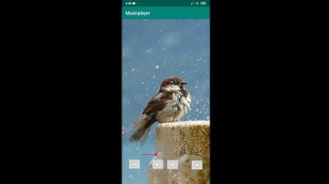 Basic Music player for beginners, Part-1