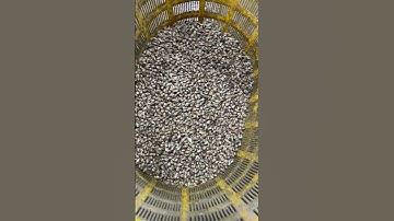 Color sorter selects impurities in conch shells #blackchickpeascolorsortermachine #farming