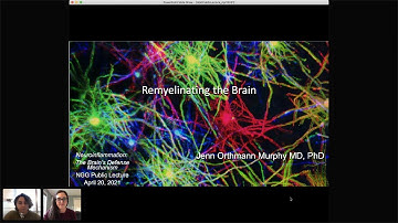 Remyelinating the Brain (Jenn Orthmann Murphy, MD, PhD)