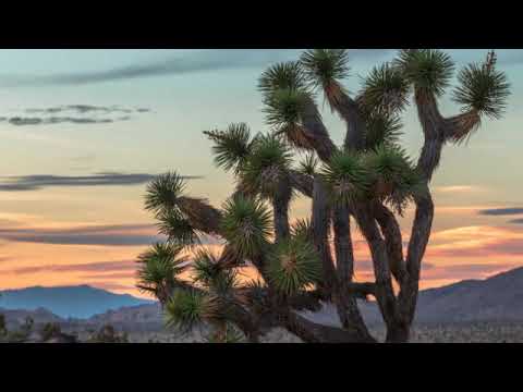 Enigmatic musicmix 12