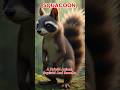 Epic Animal Fusion: SQUACOON - Squirrel And Raccoon Hybrid #ai #aiartistry #hybrid #fusion #shorts