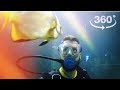 В Сочи скормили акулам популярного блогера  [Видео 360]