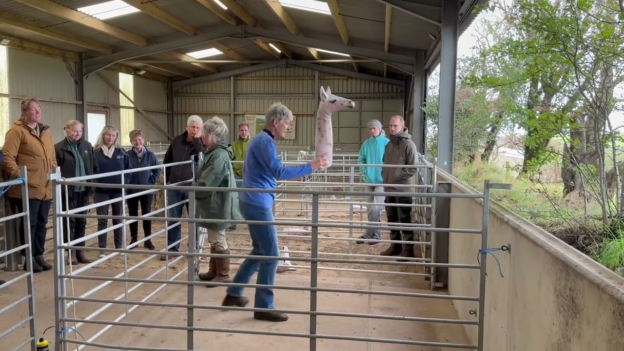 Camelidynamics - Giving an escape route