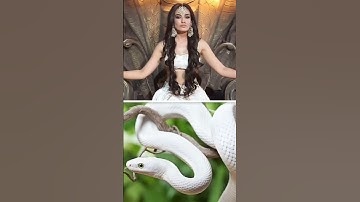 nagin same dress 🆚 snake 🐍 #nagin #youtubeshorts #shorts