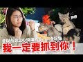 貓咪都好奸詐！親身體驗誘捕貓咪TNR過程【好味貓知識】EP15 feat.台灣之心