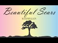 Beautiful Scars by Maximillian Lyric Video