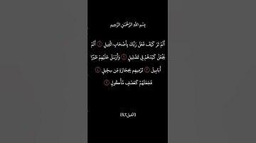 سورة الفيل | القارئ ماهر المعيقلي #قرآن #quran #قران_كريم