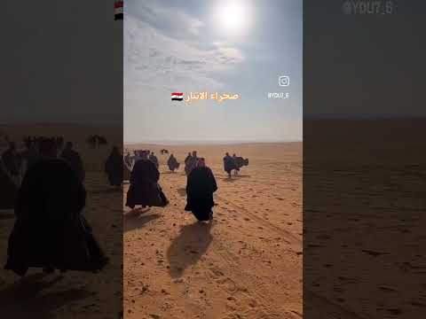 حرام ع سيه وليد سيه حرام نبقه شيوخ الغربيه الانبار دليم وعز دليم خلف بن دعيجا الفلوجه