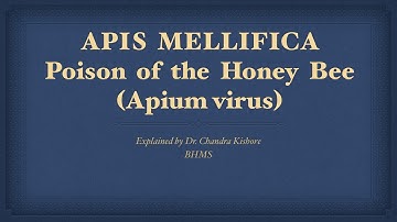 Apis Mellifica || Allen’s Keynotes || Well Explained
