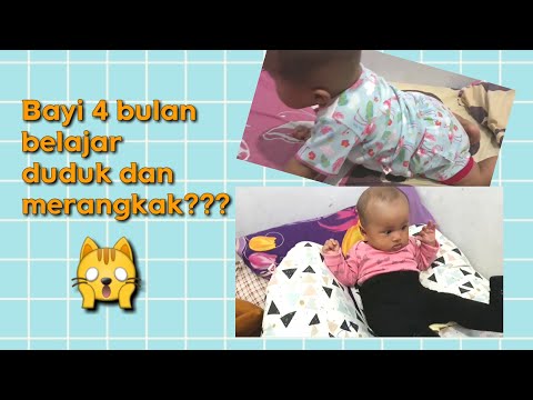 Video: Bolehkah bayi merangkak pada usia 4 bulan?