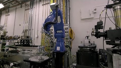 Super-bright X-rays to help explain insect biodiversity