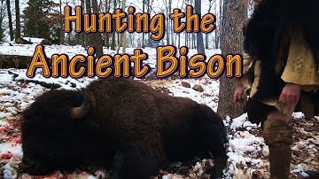 (Short Version) Primitive hunting Bison (BUFFALO) with the ATLATL. Hunting Scene