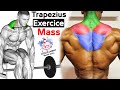 How To Build Your Trapezius Fast (8 Effective Exercises)-تمارين ترابيس