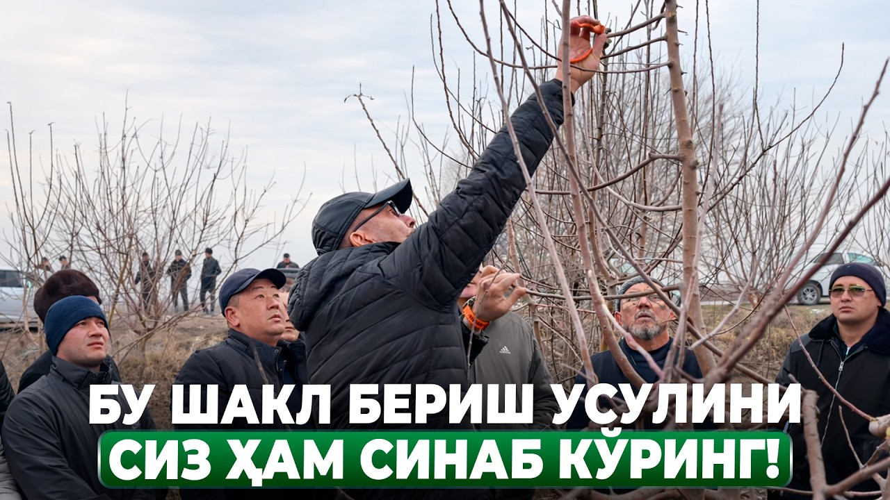 ОЛМАДА 4ТА ЛИДЕР 4ТА ТОМОНДА ЖОЙЛАШИШИ КЕРАК! | ШУҲРАТ АБРОРОВ #shuhratabrorov #olma #kesish