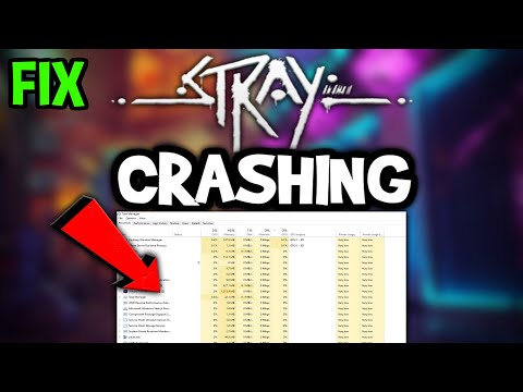 Stray – How