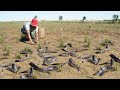 Excellent Fishing Raining Season - A Fisherman Catch Run Fish after Raining By Hands Fishing