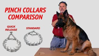 Pinch Collar Comparison: Quick Release vs. Standard Guide
