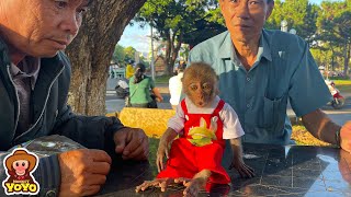 How does monkey YiYi react when meeting strangers