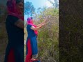 Main Deewani Ho Na Jaaun Bollywood Song 