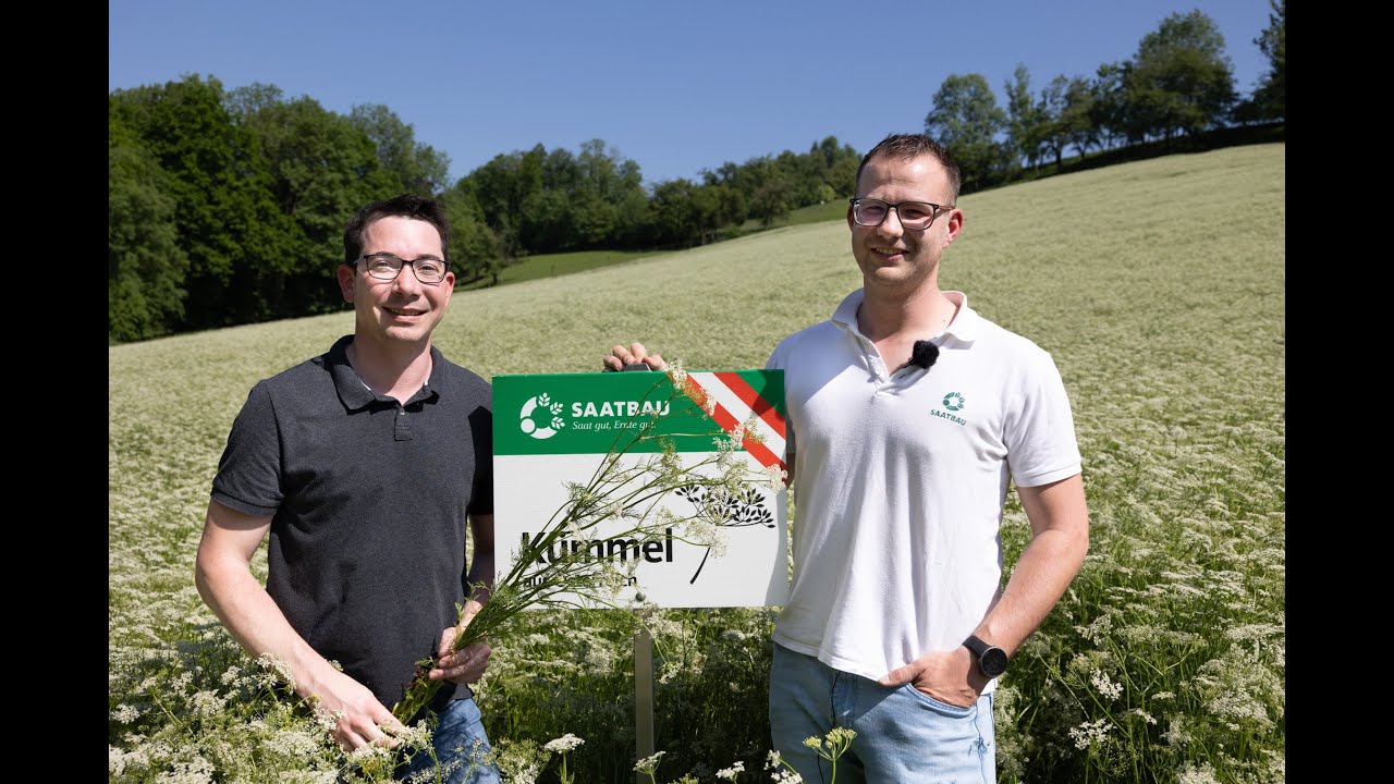 Kümmelproduktion mit Landwirt Markus MADER