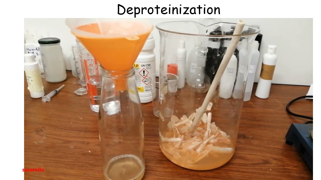 Preparing Chitosan From Various Sources