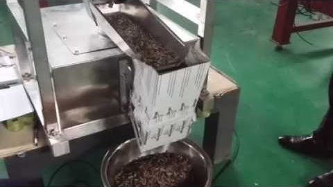 Single Head Linear Weigher Weighing Machine for Melon Seeds