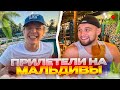УГАР НА МАЛЬДИВАХ ПЕРЕД ВЫЖИВАНИЕ | Парадеевич, Данила Горилла, Кокошка и Джетнайз