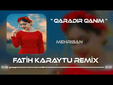 Elvin Pro & Mehriban - Qaradir Qanim ( Auudio Music)