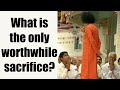 Only Worthwhile Sacrifice | Satsangh | Sai Student Experience