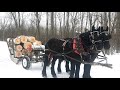 Will This Way Of Logging With Horses Work Better???