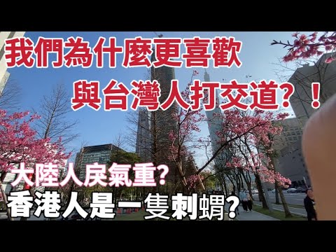 我們為什麼更喜歡與台灣人打交道？！「繁中字幕」大陸人戾氣重？香港人是一隻刺蝟！｜摩沙淺淺