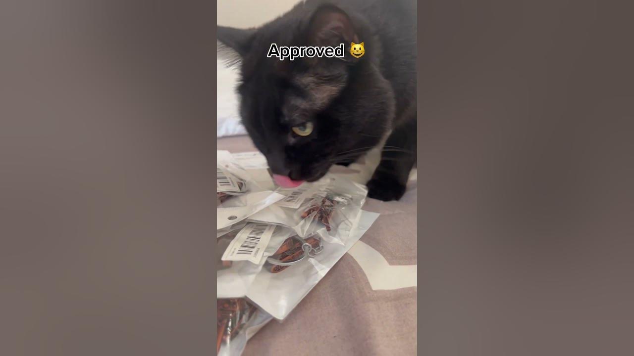 Amazon FBA quality control inspector 😺 YouTube