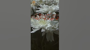 { إن الله وملائكته يصلون على النبي } | القارئ إسلام صبحي