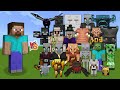 Steve vs every mob in minecraft bedrock edition  me vs all mobs no armor no weapons