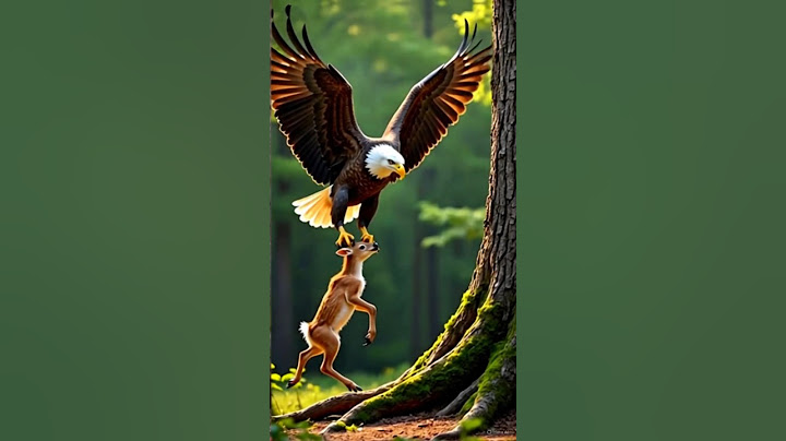 An Unlikely Hero: A Brave Rabbit Saves a Fawn from an Eagle! #short #rabbit
