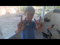 Criatório Acaraú - Primeiro vídeo do canal! Começo de tudo .
